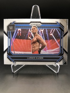 Products: 025 Ludwig Kaiser – Prizm 2023 – The Sport Shed