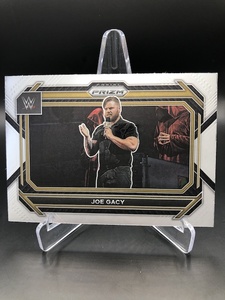 Products: 044 Joe Gacy – Prizm 2023 – The Sport Shed