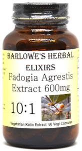 Natural Testosterone Boosters: Fadogia Agrestis 10:1 extract - 60 veg caps