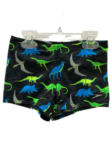 Preschool Boys Swimwear: Speedo Aquashorts - Dinosaurs