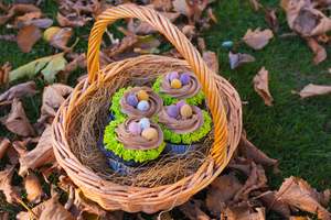 Seasonal: Easter Cupcake