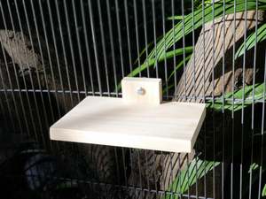Ledges: Kiln-dried Pine 210mm Ledge for Chinchillas