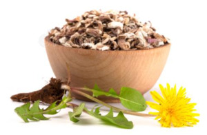 Treats: Organic Dandelion Root | Tasty Treat for Chins