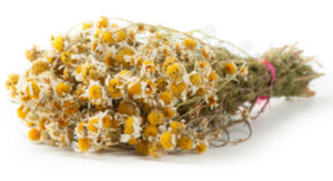 Treats: Organic Chamomile Flowers | Tasty Treat for Chins