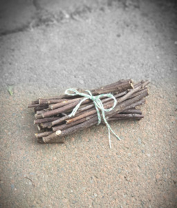 Treats: Organic Apple Sticks 50g | Chinchilla Chews