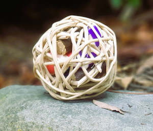 Chew Toys: Forage Ball with Rosehips & Apple Sticks