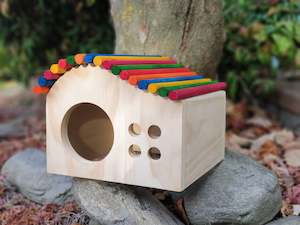 Housing: Large Kiln-Dried Pine Rainbow Chinchilla House | Big Enough for Two