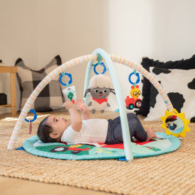 Baby Einstein Happy Harvest Touch & Feel Activity Gym