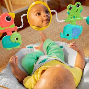 6 Months: Bright Starts Playful Paradise Vibrating Bouncer