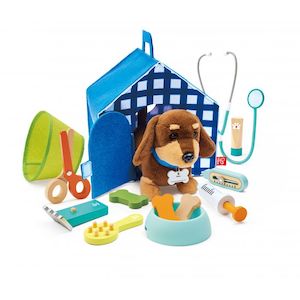 6 Year Old: Hape Puppy Care Clinic Vet Set
