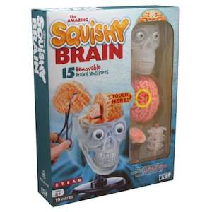 End Of Clearance: The Amazing Squishy Brain