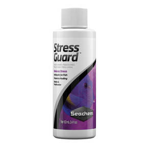 Water Treatments: Seachem Stressguard