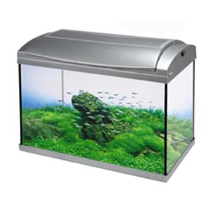 Tanks: Hailea LED Aquarium 30L