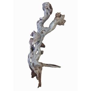 Pacifica Driftwood
