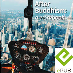 Digital Books: After Buddhism: a workbook | ePub