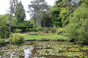 Could you be the next owner of Rapaura Watergardens?