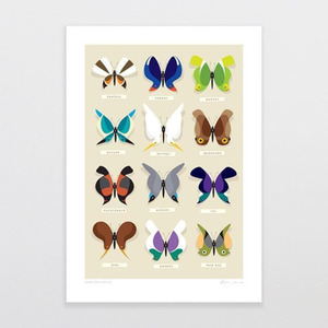 Products: Rare Specimens A4 Print