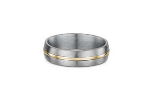 Mens Wedding Rings: Titanium Ring with Gold Band