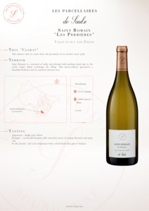 Cellar Treasure: Les Parcellaires de Saulx Saint Romain Les Perrieres Blanc 2020 750ml