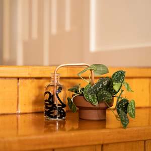 Sale Section: PLANT BUDDIES | WICK STICK