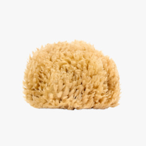 Sensitive Skin Relief: Natural Mediterranean Sea Sponge