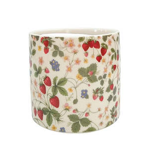 Whats New: Strawberry Fields Planter 14cm