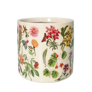 House Home Living: Botanicals Planter Green 14cm