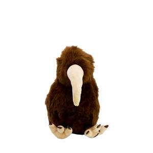 Aotearoa: Barry the Brown Kiwi