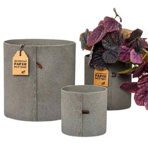 EcoMax Airlie Pot