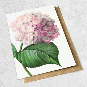 Vintage Botanical Hydrangea, Pink - Greeting Card
