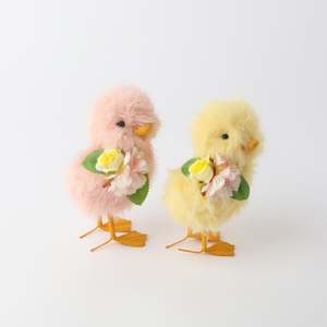 Oxford Duckling Standing