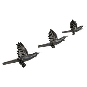 Aotearoa: Black Flying Tui