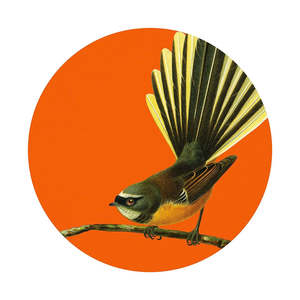 Bright Fantail Art Spot