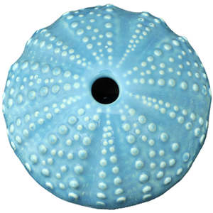Aotearoa: Ceramic Kina