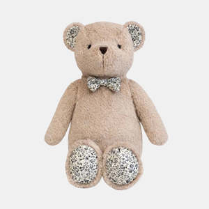 Hugo the Bear