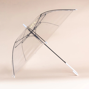 Products: Clear Umbrellas