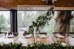 Products: Wire Mesh Backdrop