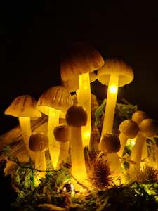 Products: Mycena Subviscosa Lamp