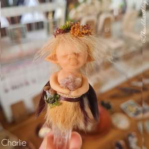 Polymer Clay Crafts: Charlie (Release Date 1st June 3pm)