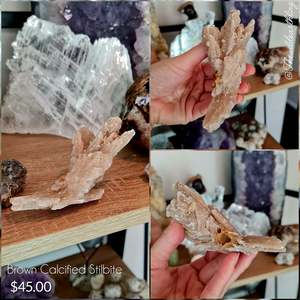 Brown Calcified Stilbite