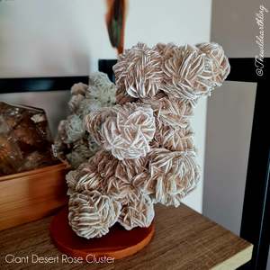 Desert Rose Cluster
