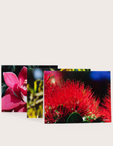 Specialty Gift Cards