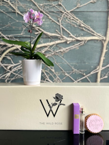 Mothers Day Gifts: Orchid Blooms Mother's Day Gift Bundle