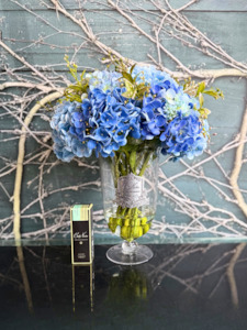 Côte Noire Grand Summer Hydrangea - Blue