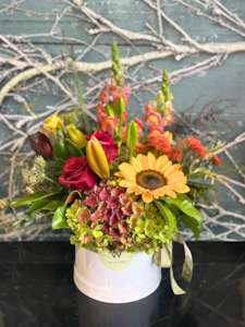 Signature Bright Hat Box