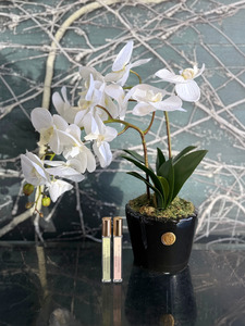 Gifts: Côte Noire - Double Orchid White Piano Black
