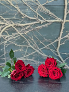 Flowers: Half Dozen Roses Wrapped