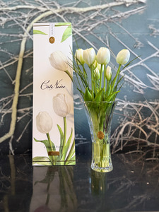 Côte Noire Charente Tulips White