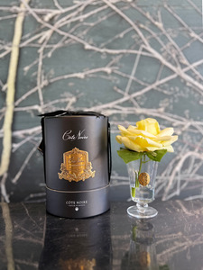 Côte Noire - Charente Rose Yellow in Black Hat Box