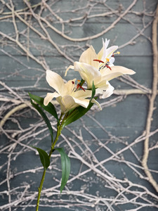 Côte Noire Single Stem Artificial Flowers